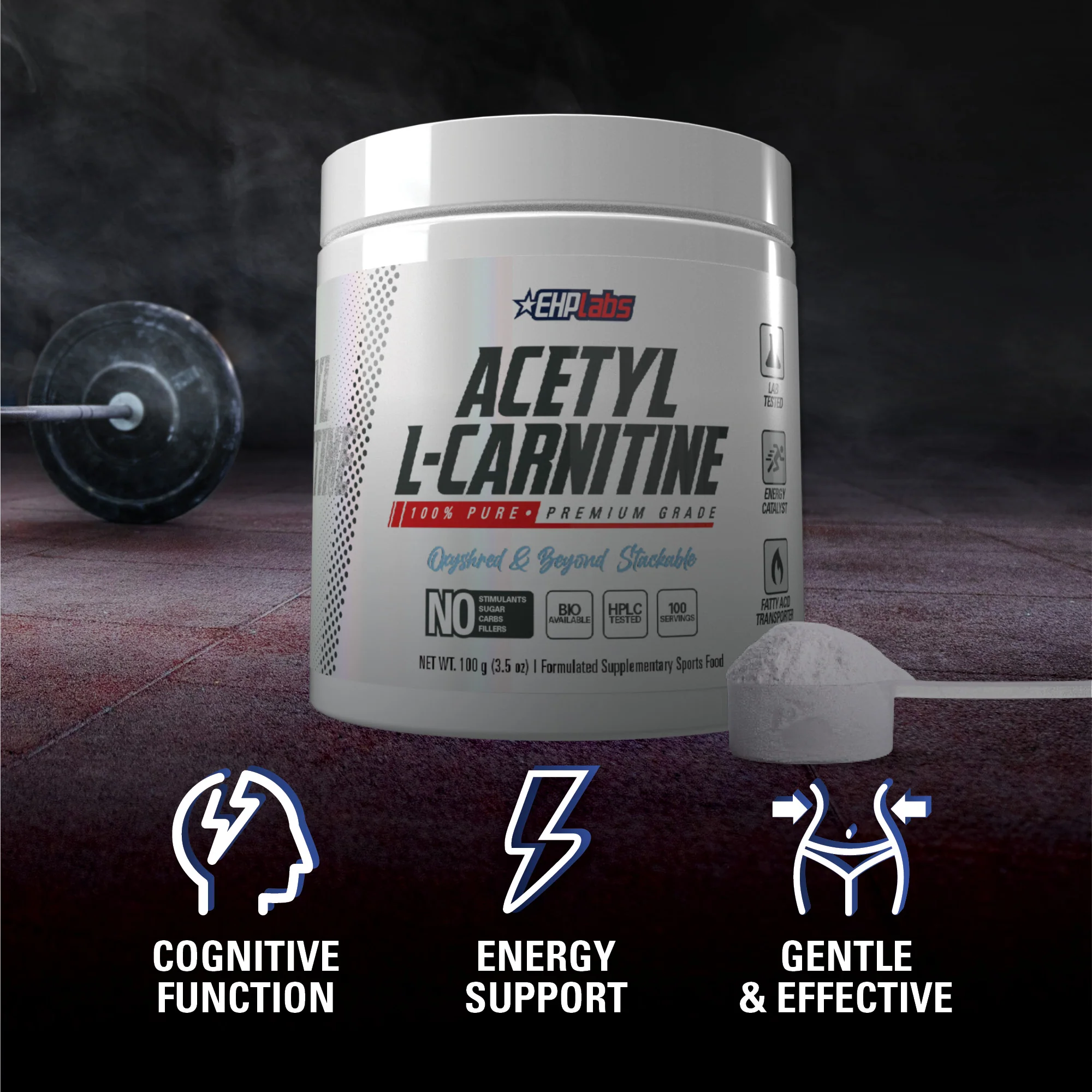 Acetyl L-Carnitine | Shredding Support - Image 3